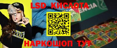 СК Новокубанск