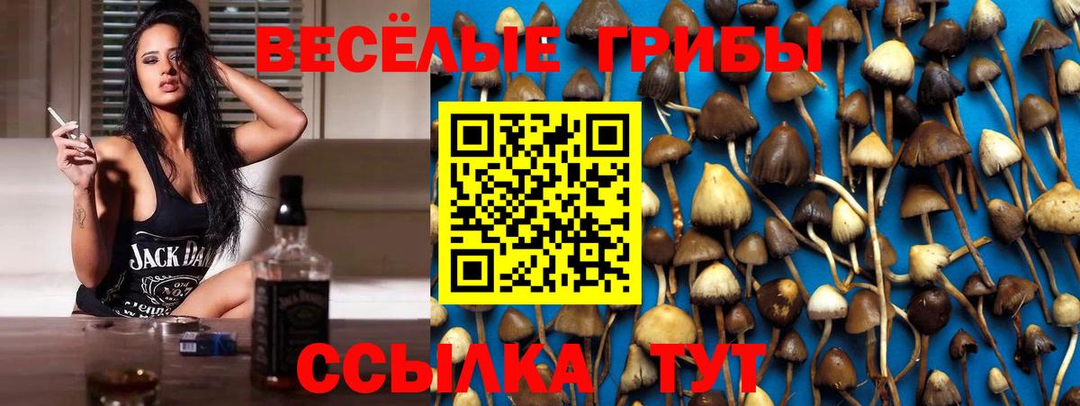 Галлюциногенные грибы MAGIC MUSHROOMS Сосновоборск