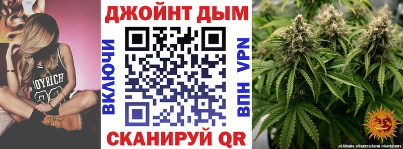 Бошки Шишки ГИДРОПОН  Сосновоборск 